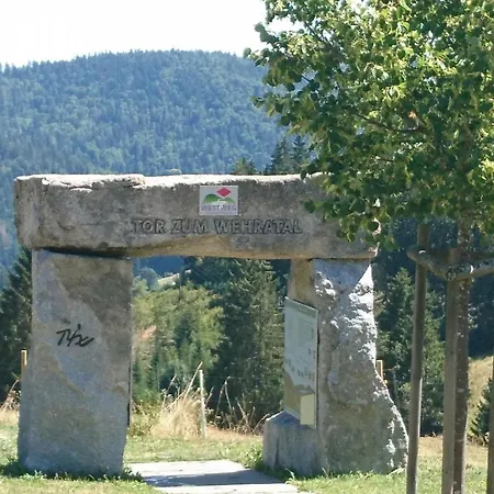 35 Qm *